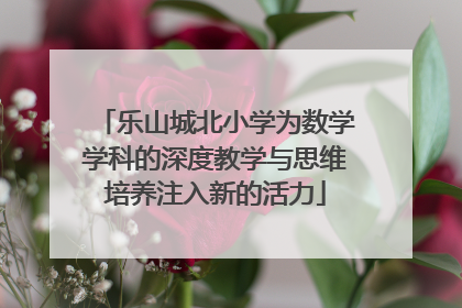 乐山城北小学为数学学科的深度教学与思维培养注入新的活力