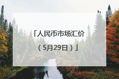 人民币市场汇价（5月29日）