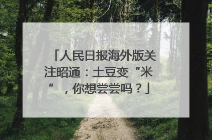 人民日报海外版关注昭通：土豆变“米”，你想尝尝吗？