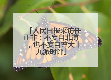 人民日报采访任正非：不妄自菲薄，也不妄自尊大丨九派时评