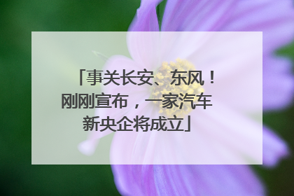 事关长安、东风！刚刚宣布，一家汽车新央企将成立