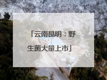 云南昆明：野生菌大量上市