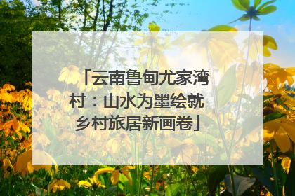 云南鲁甸尤家湾村：山水为墨绘就乡村旅居新画卷