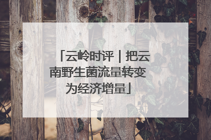 云岭时评｜把云南野生菌流量转变为经济增量