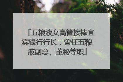五粮液女高管接棒宜宾银行行长，曾任五粮液副总、董秘等职
