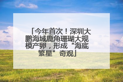 今年首次！深圳大鹏海域鹿角珊瑚大规模产卵，形成“海底繁星”奇观