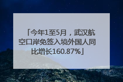 今年1至5月，武汉航空口岸免签入境外国人同比增长160.87%