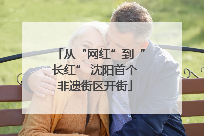 从“网红”到“长红” 沈阳首个非遗街区开街