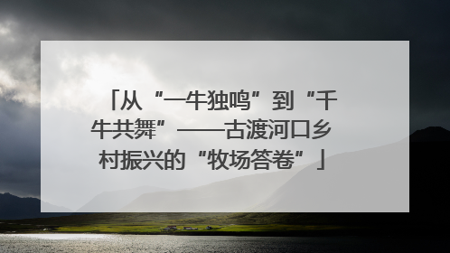 从“一牛独鸣”到“千牛共舞”——古渡河口乡村振兴的“牧场答卷”