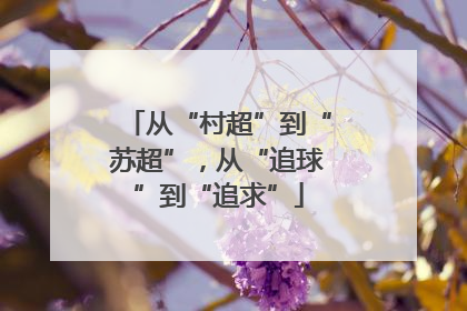 从“村超”到“苏超”，从“追球”到“追求”