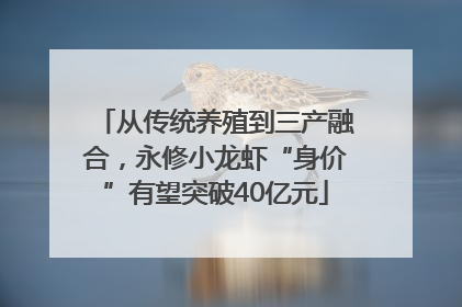 从传统养殖到三产融合，永修小龙虾“身价”有望突破40亿元