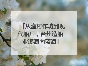 从渔村作坊到现代船厂，台州造船业逐浪向蓝海