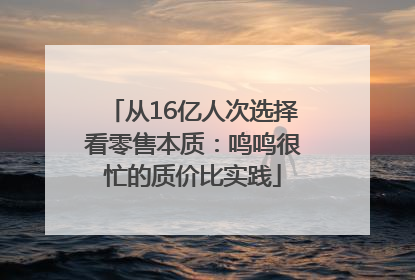 从16亿人次选择看零售本质：鸣鸣很忙的质价比实践