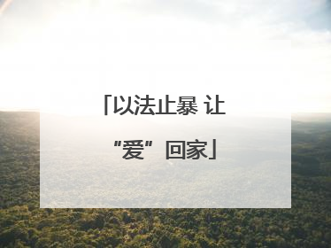 以法止暴 让“爱”回家