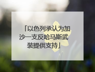 以色列承认为加沙一支反哈马斯武装提供支持