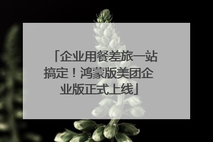 企业用餐差旅一站搞定！鸿蒙版美团企业版正式上线