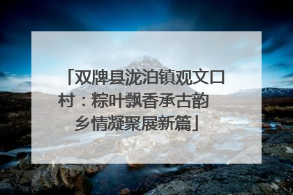 双牌县泷泊镇观文口村：粽叶飘香承古韵 乡情凝聚展新篇