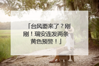 台风要来了？刚刚！瑞安连发两条黄色预警！