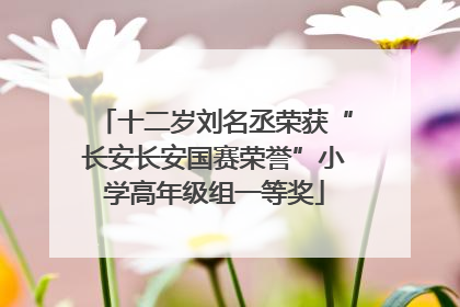 十二岁刘名丞荣获“长安长安国赛荣誉”小学高年级组一等奖