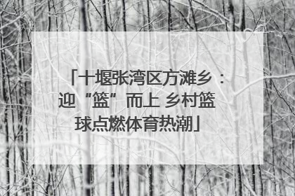 十堰张湾区方滩乡：迎“篮”而上 乡村篮球点燃体育热潮