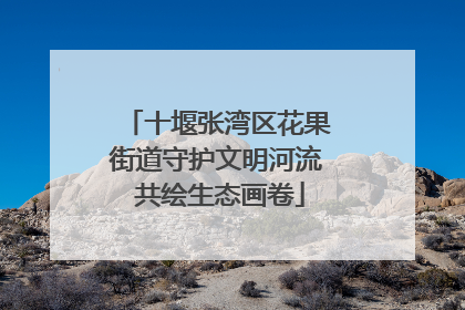 十堰张湾区花果街道守护文明河流 共绘生态画卷