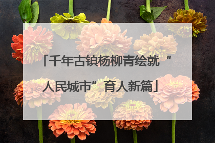 千年古镇杨柳青绘就“人民城市”育人新篇