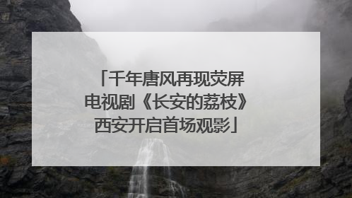 千年唐风再现荧屏 电视剧《长安的荔枝》西安开启首场观影
