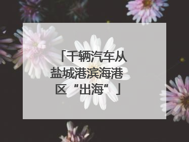 千辆汽车从盐城港滨海港区“出海”