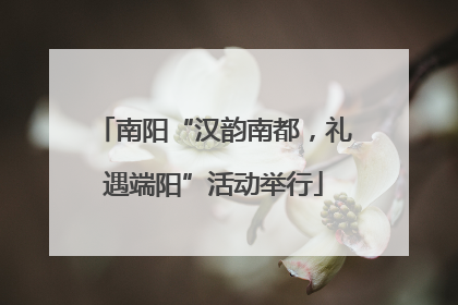 南阳“汉韵南都，礼遇端阳”活动举行