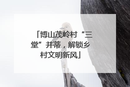 博山茂岭村“三堂”并蒂，解锁乡村文明新风
