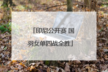 印尼公开赛 国羽女单四战全胜