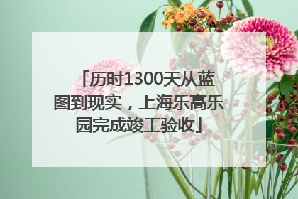 历时1300天从蓝图到现实，上海乐高乐园完成竣工验收