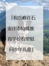 倪岳峰在石家庄市特殊教育学校看望慰问少年儿童