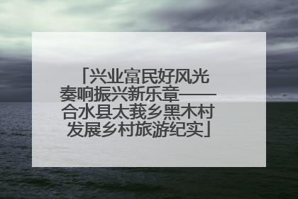 兴业富民好风光 奏响振兴新乐章——合水县太莪乡黑木村发展乡村旅游纪实