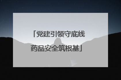 党建引领守底线 药品安全筑根基