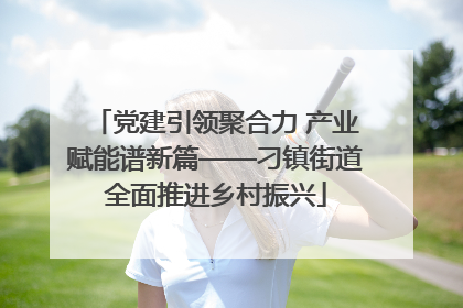 党建引领聚合力 产业赋能谱新篇——刁镇街道全面推进乡村振兴
