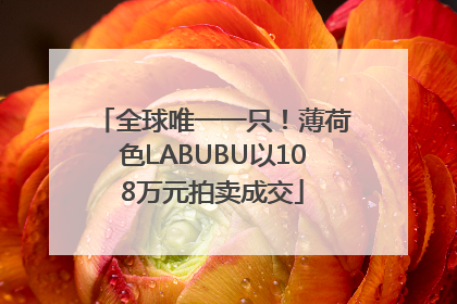 全球唯一一只！薄荷色LABUBU以108万元拍卖成交