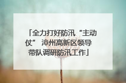 全力打好防汛“主动仗” 漳州高新区领导带队调研防汛工作