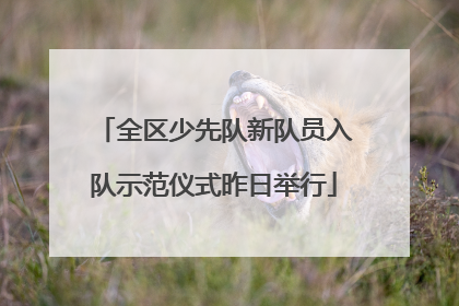 全区少先队新队员入队示范仪式昨日举行