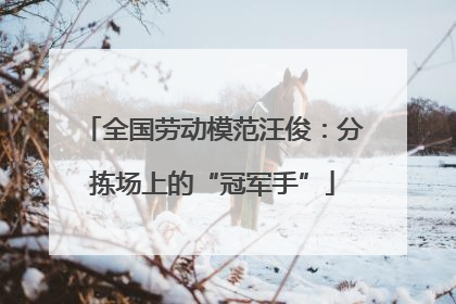 全国劳动模范汪俊：分拣场上的“冠军手”