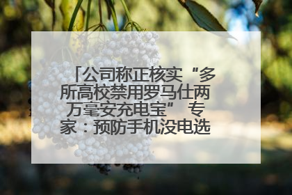 公司称正核实“多所高校禁用罗马仕两万毫安充电宝” 专家：预防手机没电选中等体积产品即可