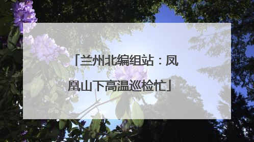 兰州北编组站：凤凰山下高温巡检忙