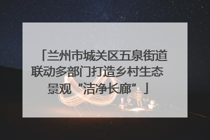 兰州市城关区五泉街道联动多部门打造乡村生态景观“洁净长廊”