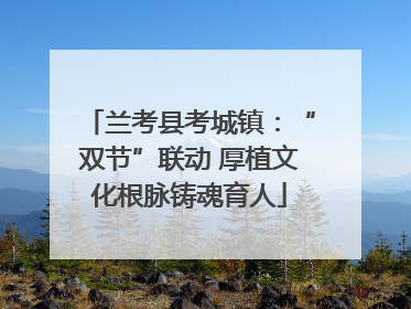 兰考县考城镇：“双节”联动 厚植文化根脉铸魂育人
