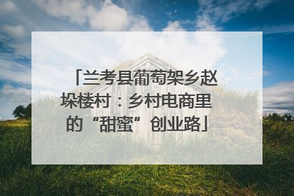 兰考县葡萄架乡赵垛楼村：乡村电商里的“甜蜜”创业路