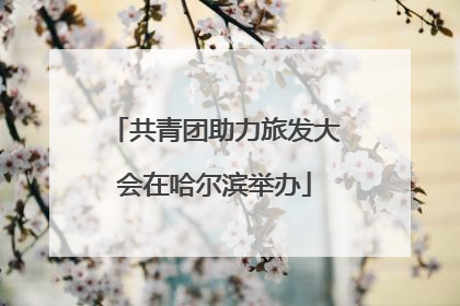 共青团助力旅发大会在哈尔滨举办