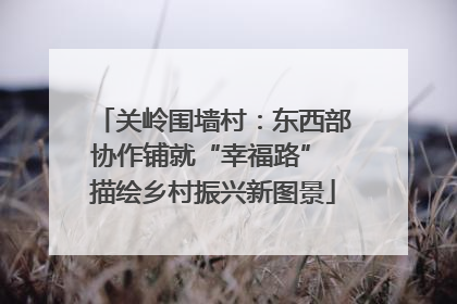 关岭围墙村：东西部协作铺就“幸福路” 描绘乡村振兴新图景