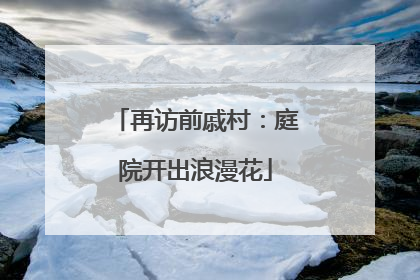 再访前戚村：庭院开出浪漫花