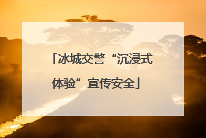 冰城交警“沉浸式体验”宣传安全