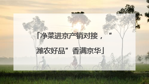净菜进京产销对接，“潍农好品”香满京华